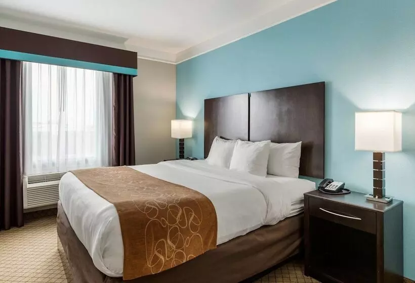 スイート, Comfort Suites At Katy Mills