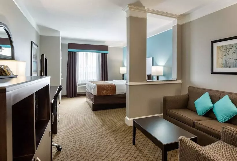 スイート, Comfort Suites At Katy Mills