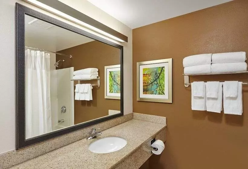 スイート, Fairfield Inn And Suites Chicago Lombard