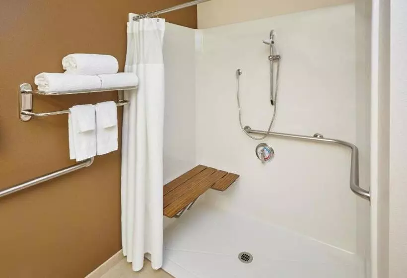 キングサイズベッドのスタンダードルーム, Fairfield Inn And Suites Chicago Lombard