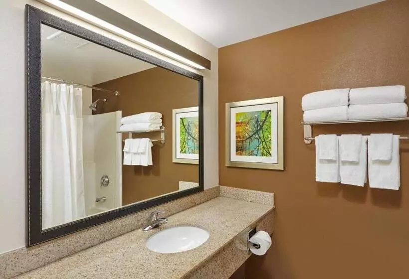 スタンダードルーム, Fairfield Inn And Suites Chicago Lombard