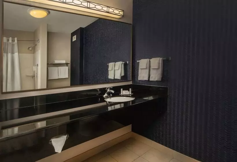 ダブルベッドのスタンダードスタジオ, Fairfield Inn And Suites By Marriott Harrisonburg