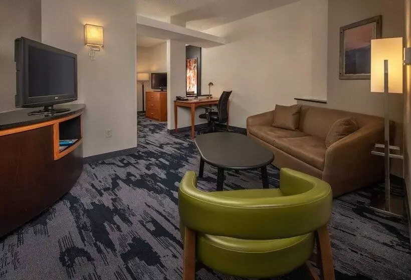 ダブルベッドのスタンダードスタジオ, Fairfield Inn And Suites By Marriott Harrisonburg