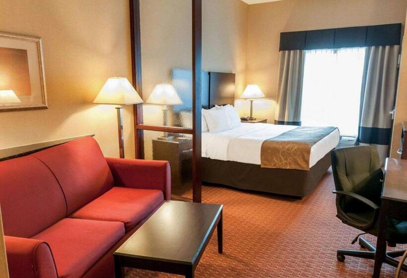 キングサイズベッドのスイートルーム, Spark By Hilton Exton