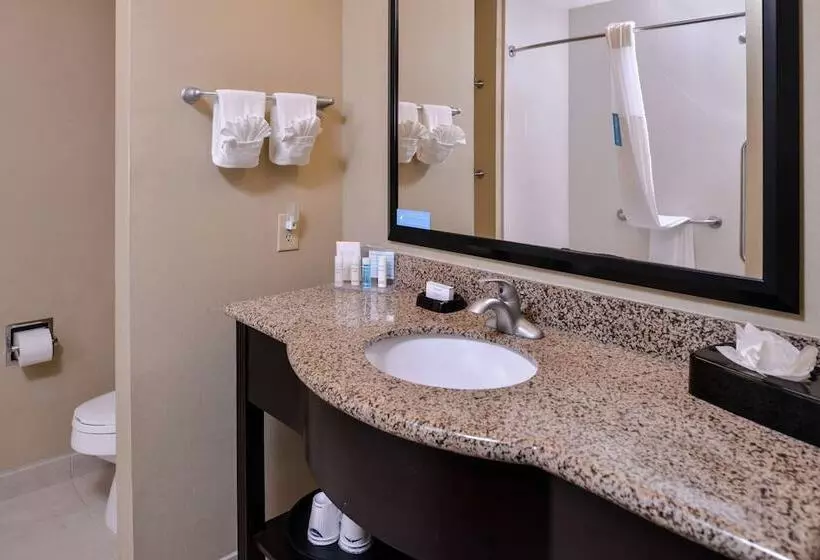 スタンダードルーム, Hampton Inn & Suites Big Spring