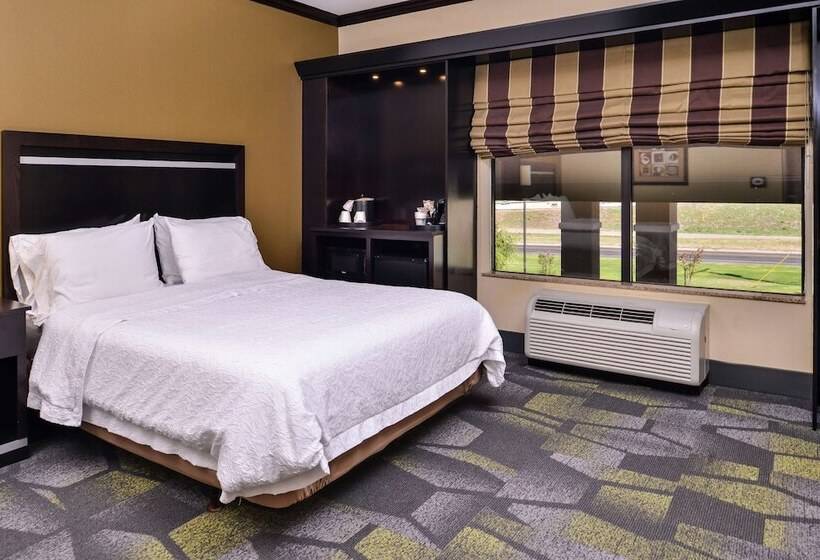 غرفة قياسية, Hampton Inn & Suites Big Spring