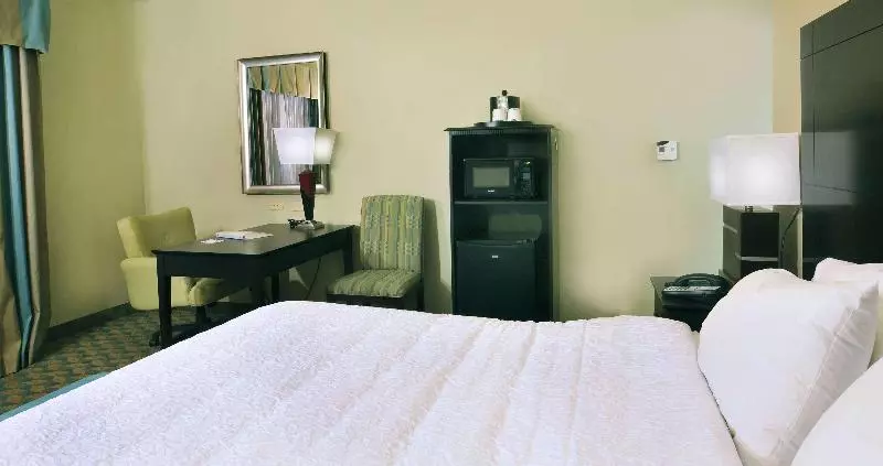 اتاق استاندارد با تخت بزرگ, Hampton Inn Gadsden/attalla I59