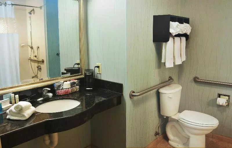 اتاق استاندارد با تخت بزرگ, Hampton Inn Gadsden/attalla I59