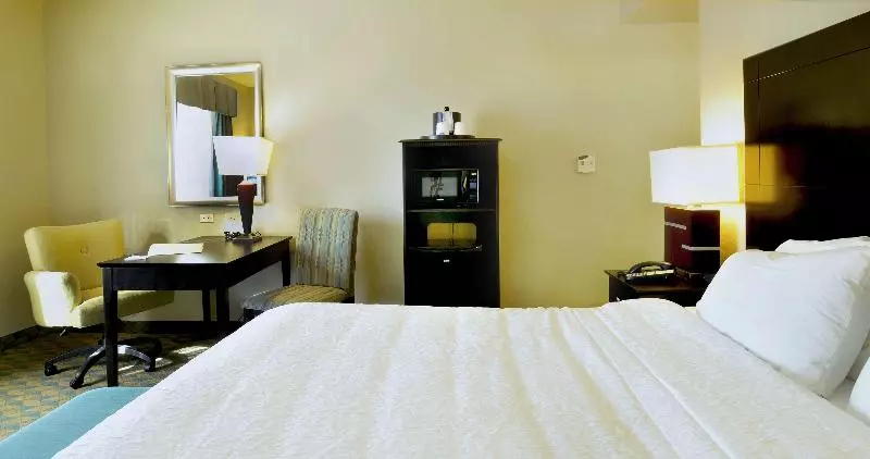 اتاق استاندارد با تخت بزرگ, Hampton Inn Gadsden/attalla I59