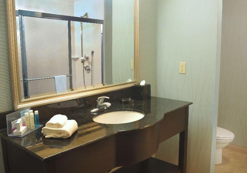 اتاق استاندارد با تخت بزرگ, Hampton Inn Gadsden/attalla I59