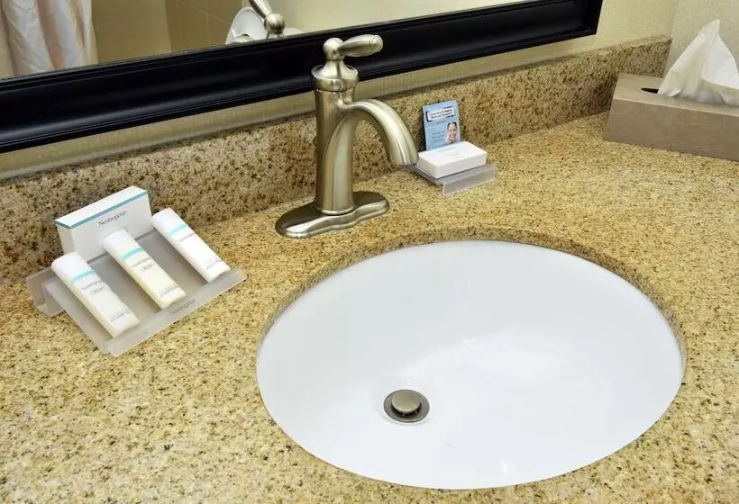 スタンダードルーム, Hilton Garden Inn Atlanta/peachtree City