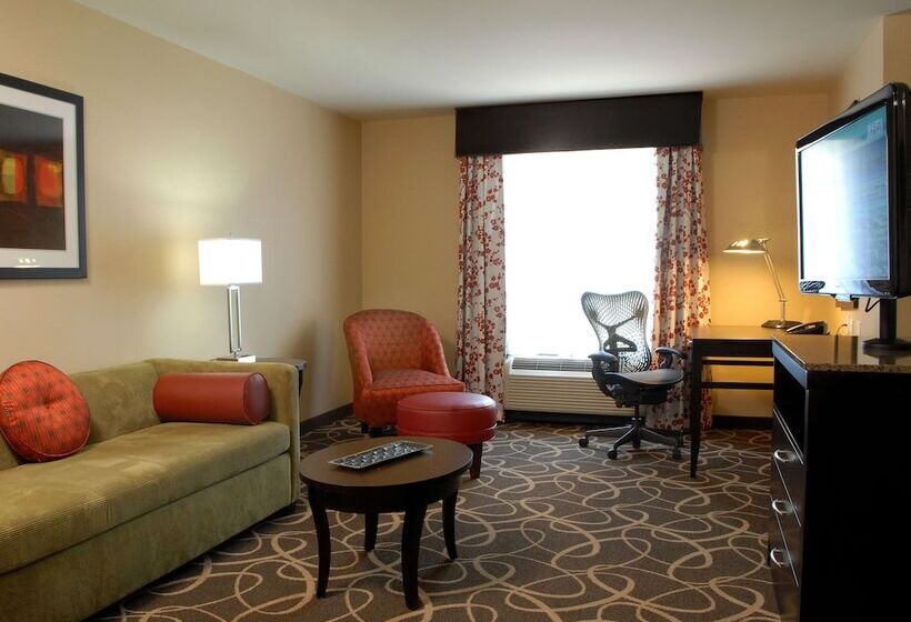 غرفة قياسية, Hilton Garden Inn Atlanta/peachtree City