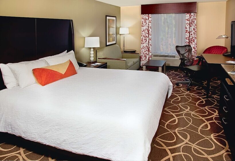 스탠다드 룸, Hilton Garden Inn Atlanta/peachtree City