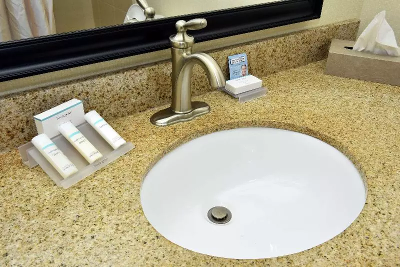 キングサイズベッドのジュニアスイート, Hilton Garden Inn Atlanta/peachtree City
