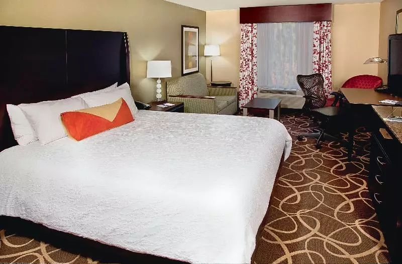 キングサイズベッドのジュニアスイート, Hilton Garden Inn Atlanta/peachtree City