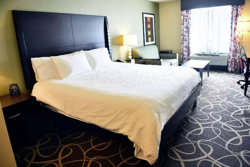 キングサイズベッドのジュニアスイート, Hilton Garden Inn Atlanta/peachtree City