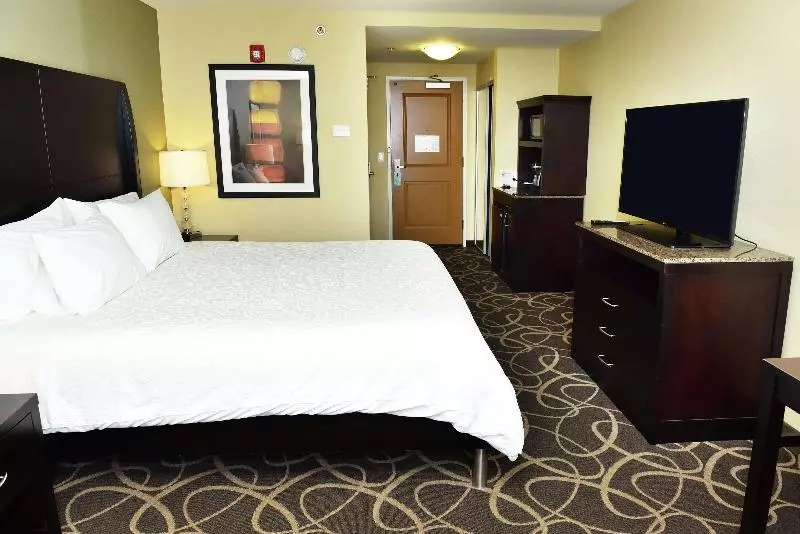 キングサイズベッドのスタンダードルーム, Hilton Garden Inn Atlanta/peachtree City