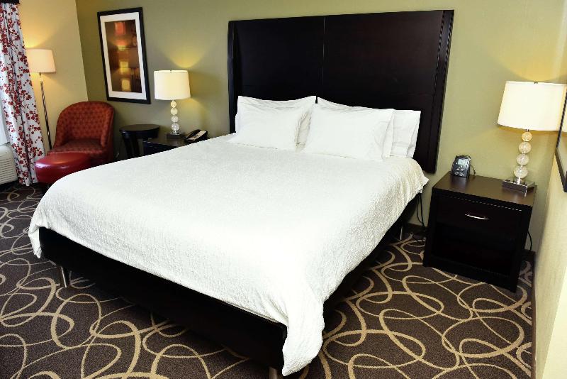 غرفة قياسية سرير كينج, Hilton Garden Inn Atlanta/peachtree City