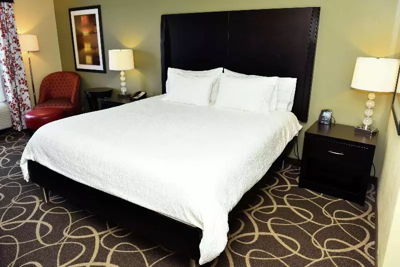 キングサイズベッドのスタンダードルーム, Hilton Garden Inn Atlanta/peachtree City