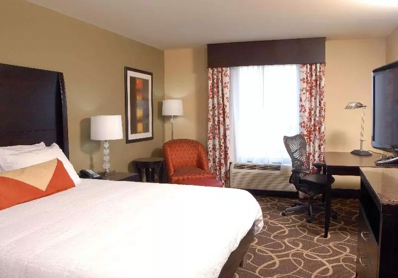 キングサイズベッドのスタンダードルーム, Hilton Garden Inn Atlanta/peachtree City