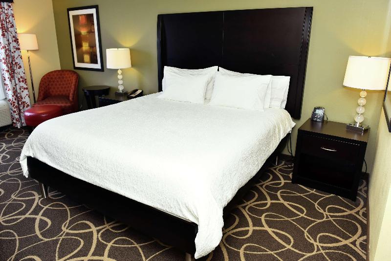 스탠다드 룸 킹사이즈 침대, Hilton Garden Inn Atlanta/peachtree City