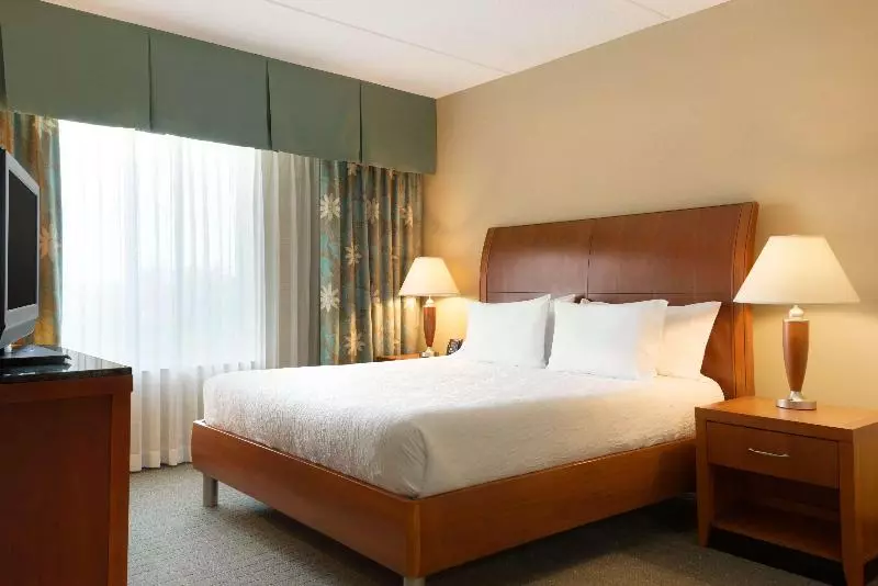 キングサイズベッドのスタンダードルーム, Hilton Garden Inn Palm Coast Town Center
