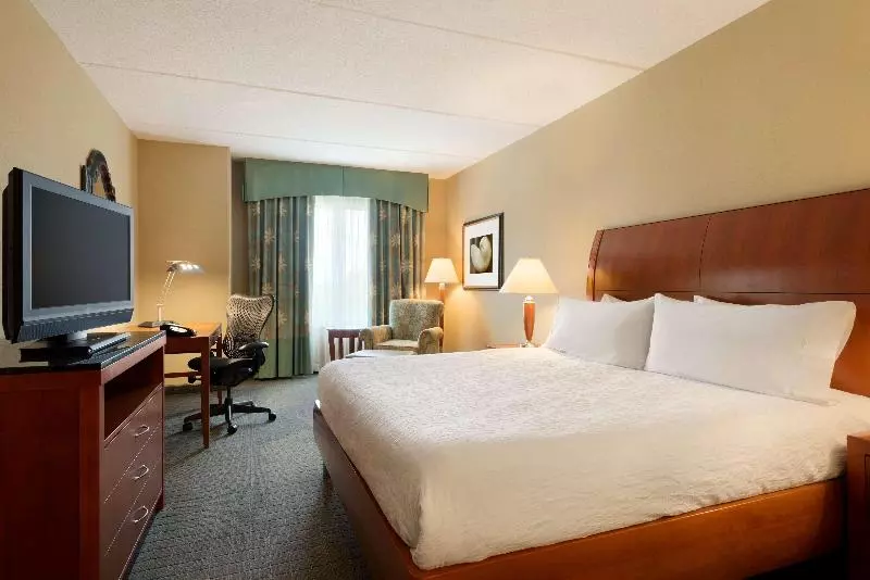 キングサイズベッドのスタンダードルーム, Hilton Garden Inn Palm Coast Town Center