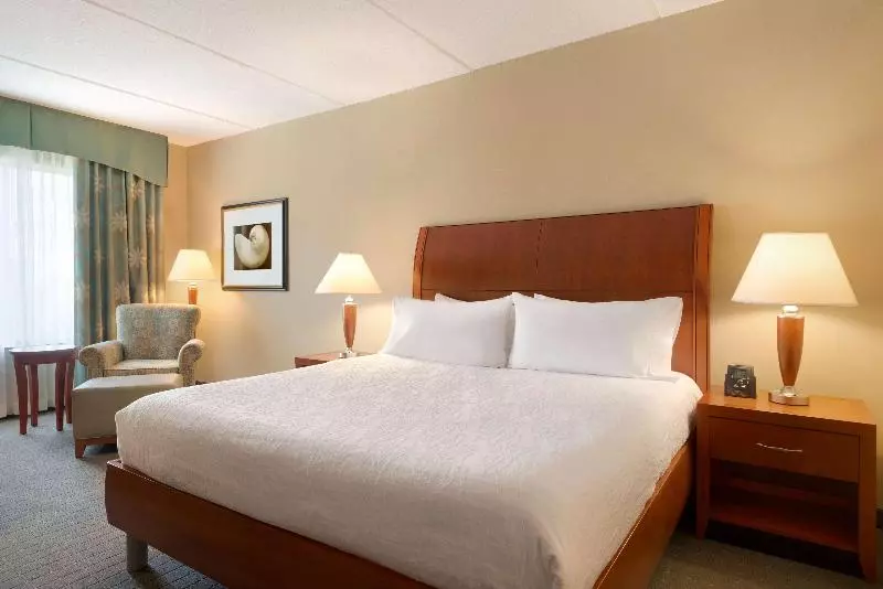 キングサイズベッドのスタンダードルーム, Hilton Garden Inn Palm Coast Town Center