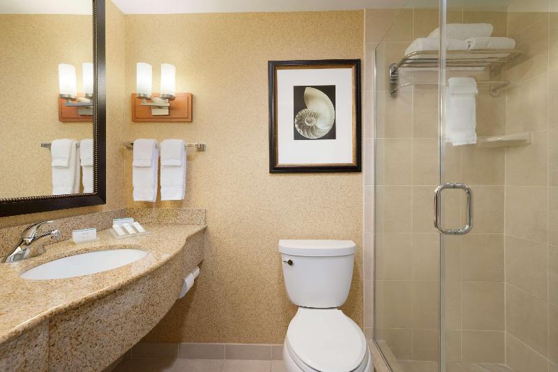 Стандартный Номер Кровать Кинг, Hilton Garden Inn Palm Coast Town Center