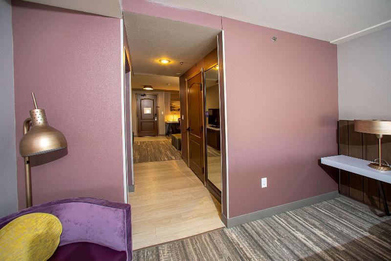 Полулюкс Кровать Кинг, Hilton Garden Inn Rapid City