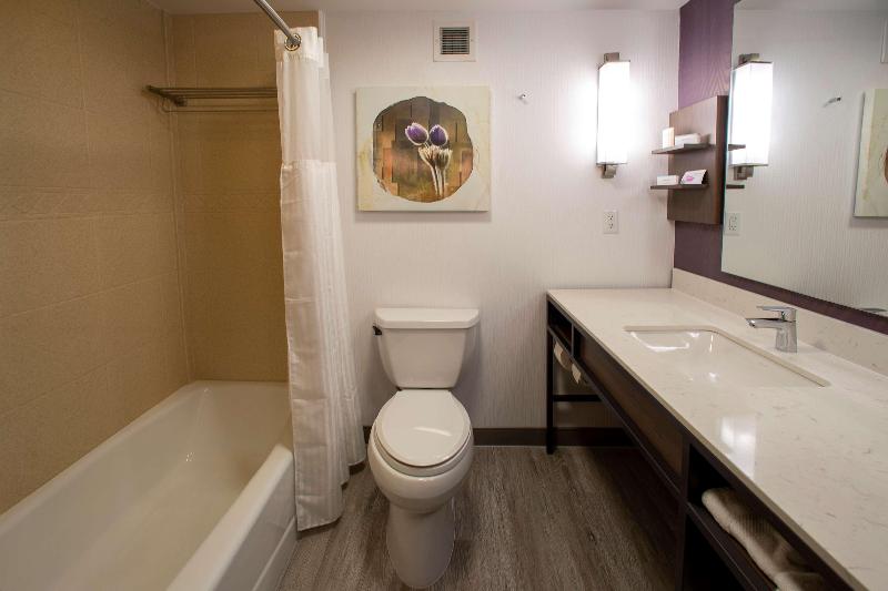 סוויטת ג'וניור מיטת קינג, Hilton Garden Inn Rapid City