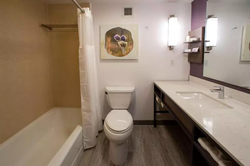 سوئیت جونیور با تخت بزرگ, Hilton Garden Inn Rapid City