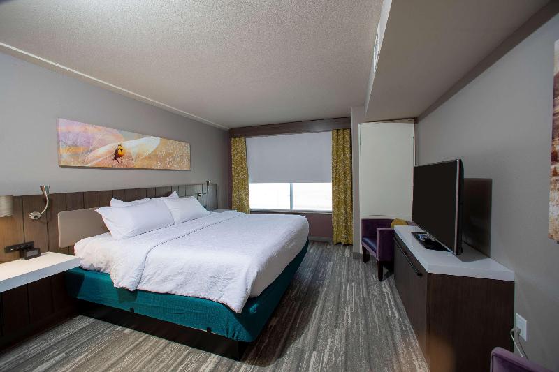 Полулюкс Кровать Кинг, Hilton Garden Inn Rapid City