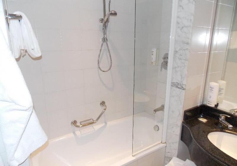Стандартный Номер Кровать Кинг, Hilton Garden Inn Rapid City