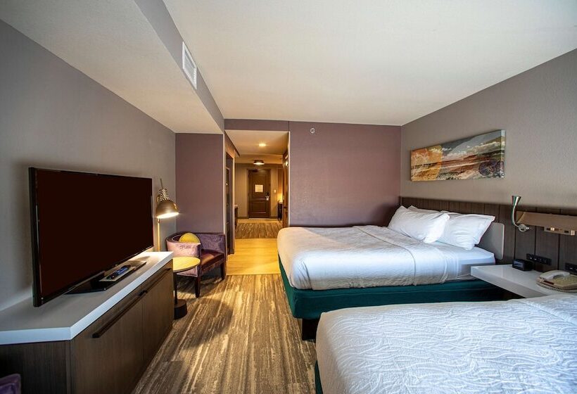 חדר דלוקס, Hilton Garden Inn Rapid City