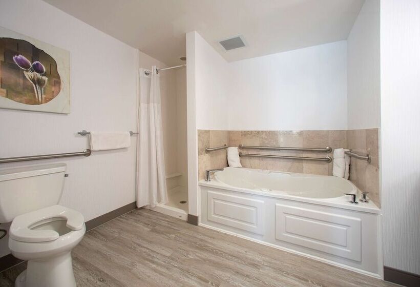 סוויטה נשיאותית, Hilton Garden Inn Rapid City