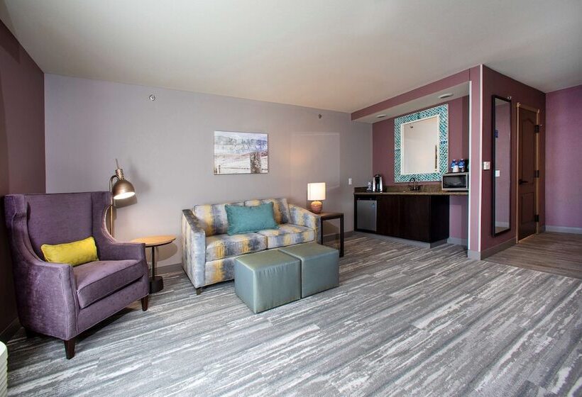 סוויטה נשיאותית, Hilton Garden Inn Rapid City