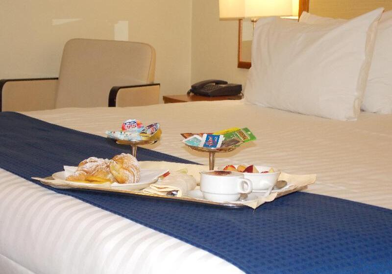 Стандартный Номер Кровать Кинг, Hilton Garden Inn Rapid City