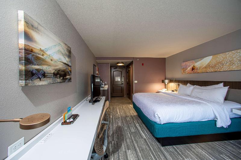 חדר סטנדרט עם מיטת קינג, Hilton Garden Inn Rapid City