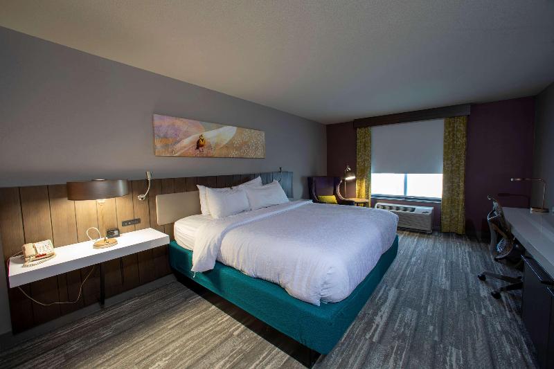 חדר סטנדרט עם מיטת קינג, Hilton Garden Inn Rapid City