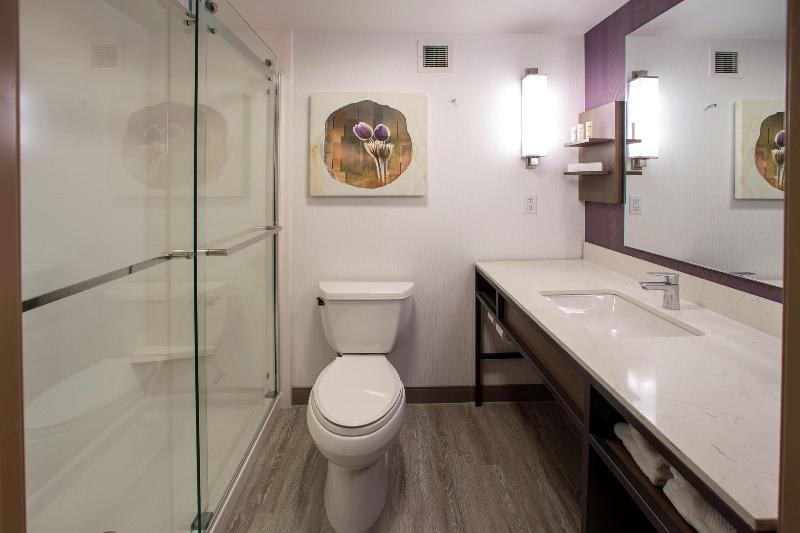 חדר סטנדרט עם מיטת קינג, Hilton Garden Inn Rapid City