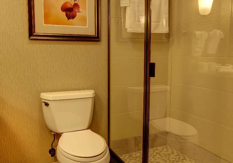 Стандартный Номер Кровать Кинг, Hilton Garden Inn Rapid City