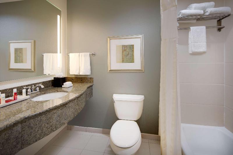 스탠다드 룸 킹사이즈 침대, Hilton Garden Inn Tyler