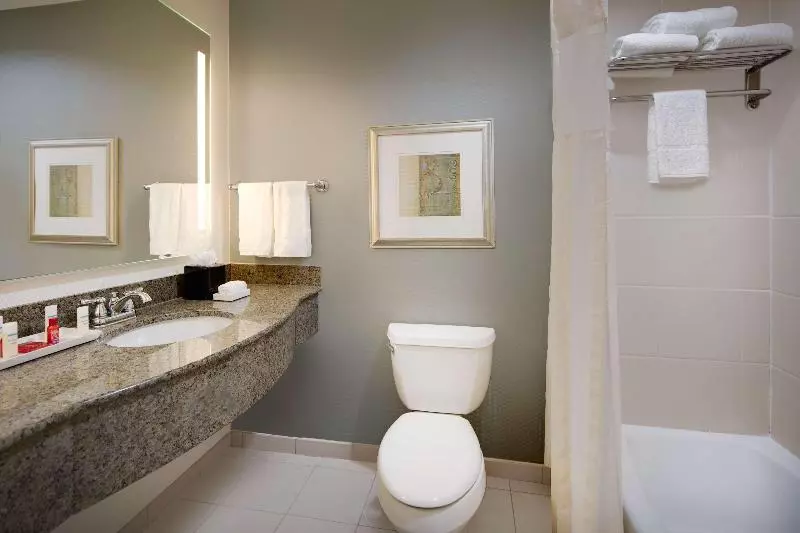 اتاق استاندارد با تخت بزرگ, Hilton Garden Inn Tyler