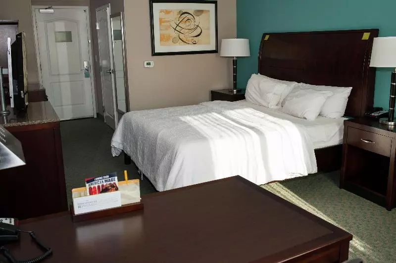 اتاق استاندارد با تخت بزرگ, Hilton Garden Inn Tyler