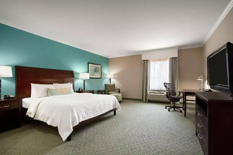 اتاق استاندارد با تخت بزرگ, Hilton Garden Inn Tyler