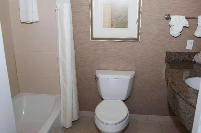 اتاق استاندارد با تخت بزرگ, Hilton Garden Inn Tyler