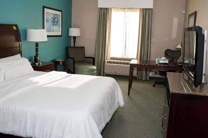 스탠다드 룸 킹사이즈 침대, Hilton Garden Inn Tyler
