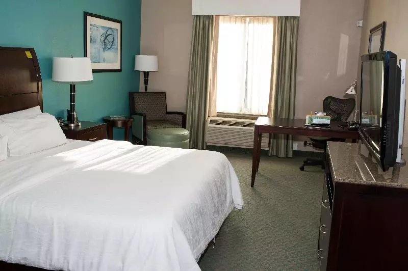 اتاق استاندارد با تخت بزرگ, Hilton Garden Inn Tyler