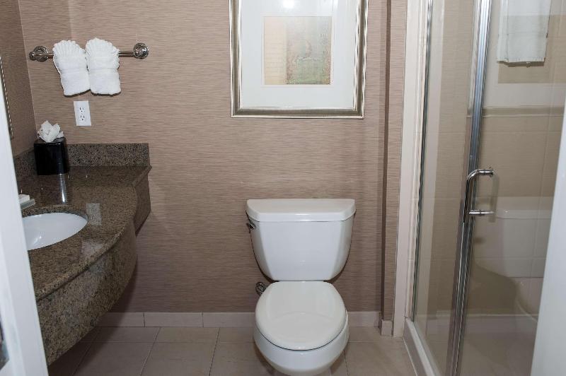 스탠다드 룸 킹사이즈 침대, Hilton Garden Inn Tyler